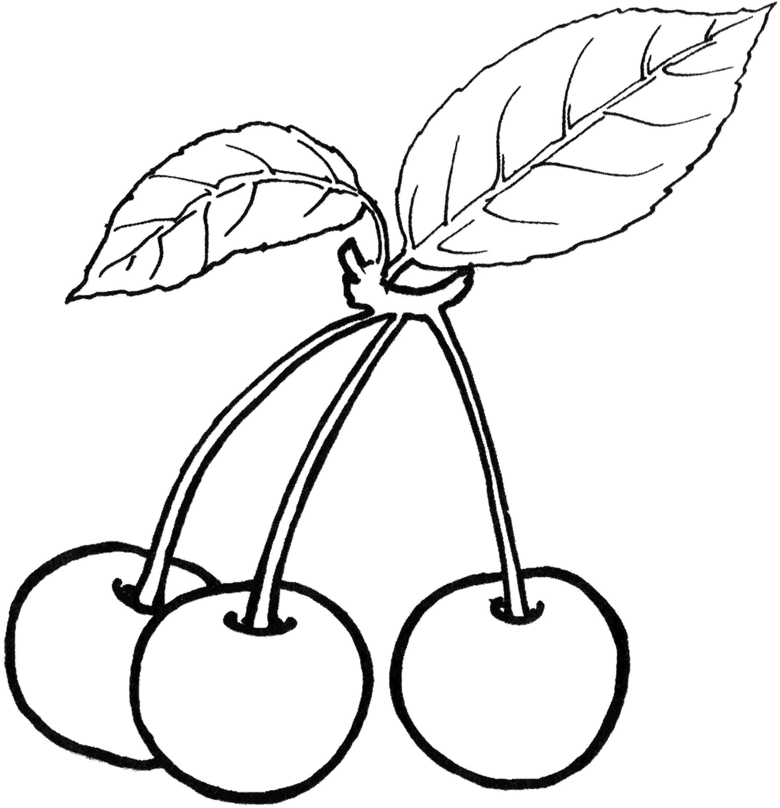 Berries clipart black and white. Unique coloring pages gallery