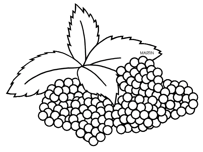 Berries clipart black and white. Free cliparts download clip