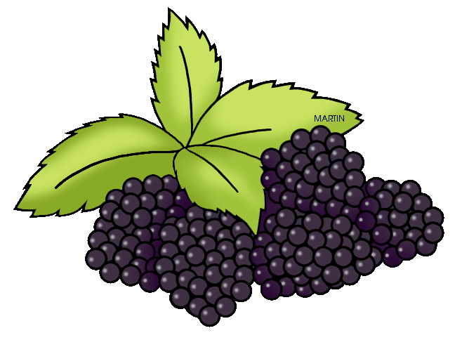 berry clipart blackberry