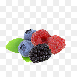 Berries clipart blackberry. Blackberries png vectors psd