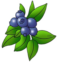 Free blueberry. Blueberries clipart blue berry