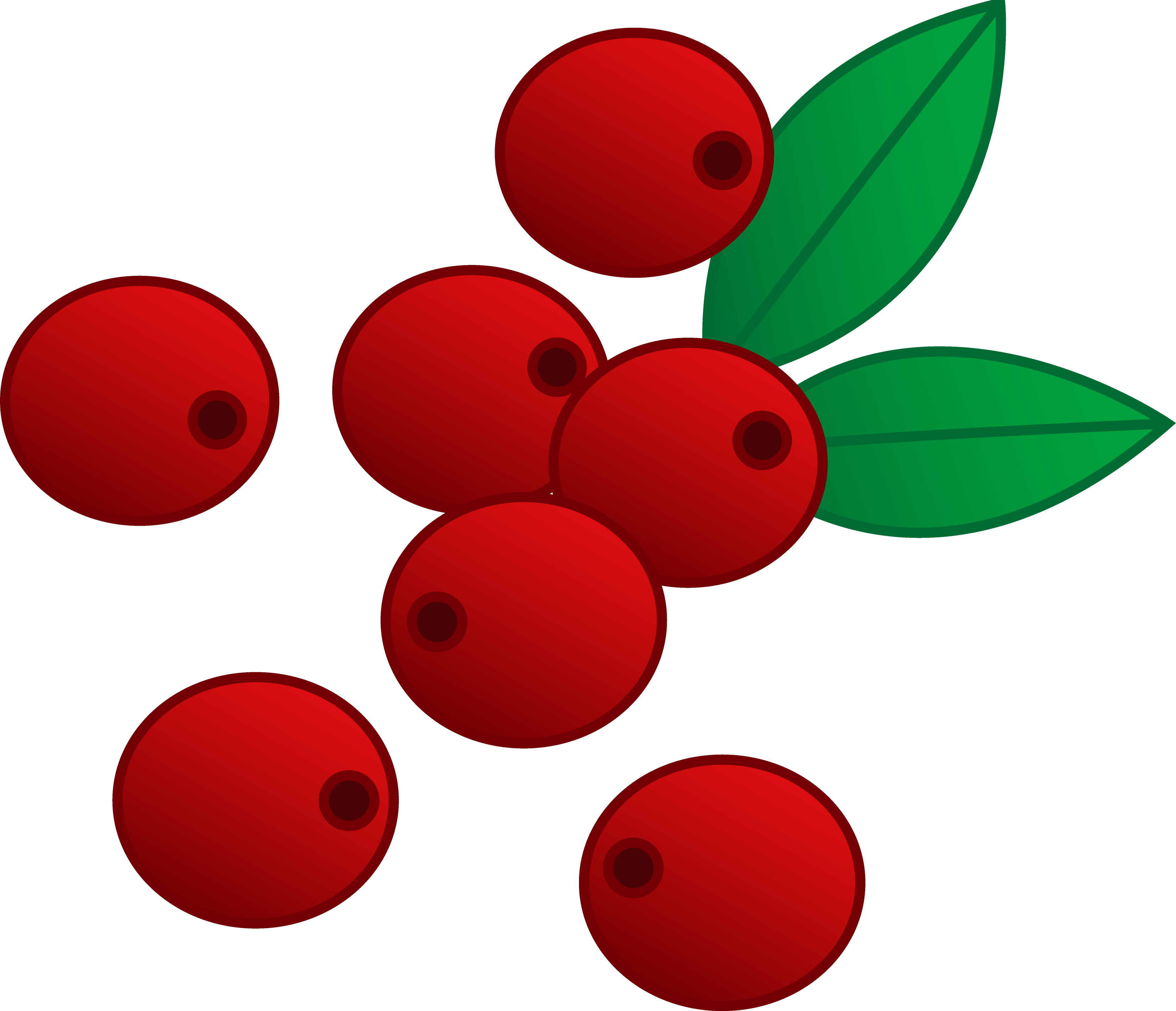 Berries cranberry