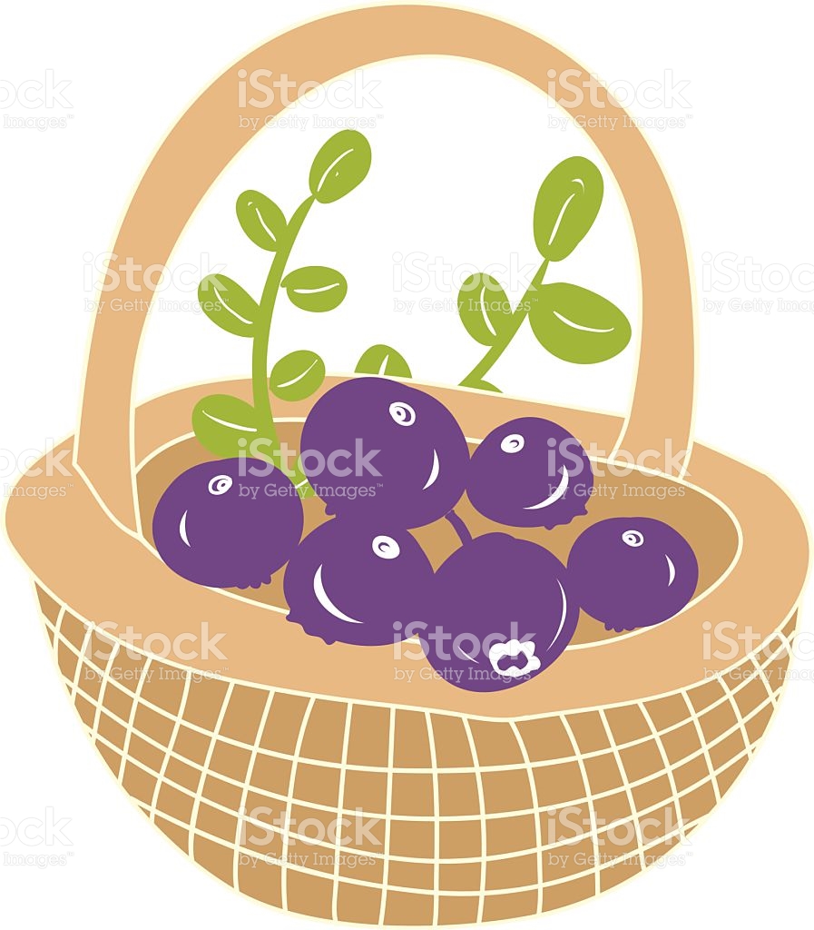 berries clipart forest berry