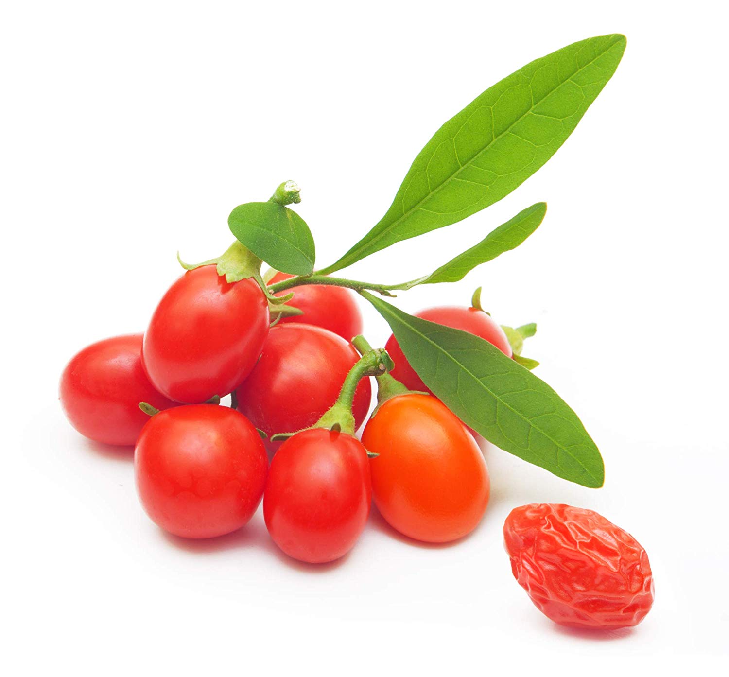 berry clipart goji berries