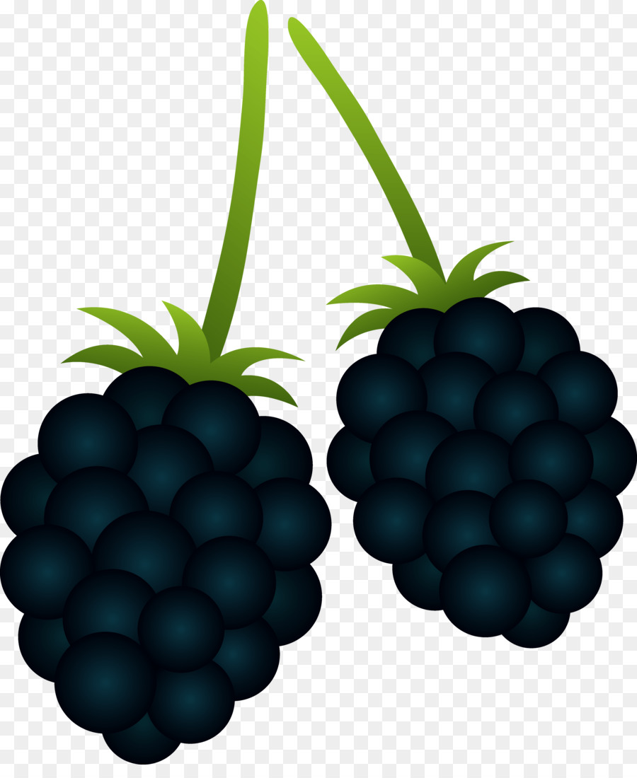berry clipart berry fruit