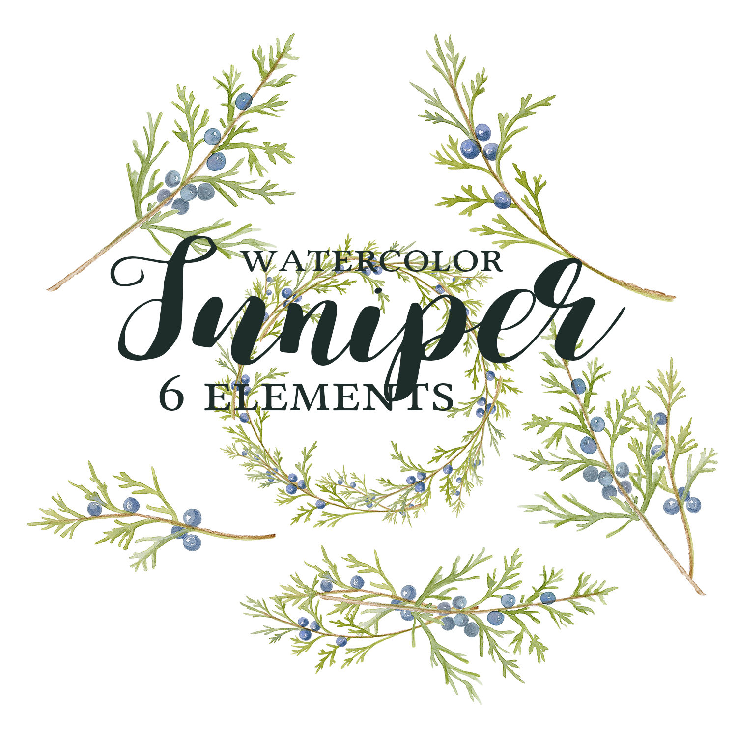 Berry clipart juniper berry. Watercolor branch wreath this