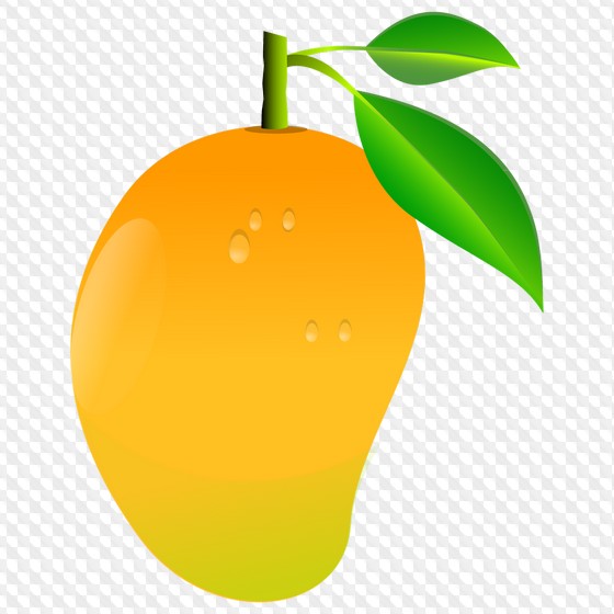 berry clipart mango