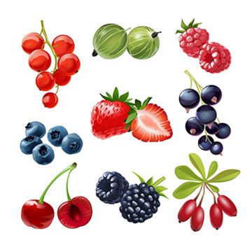 berries clipart mix