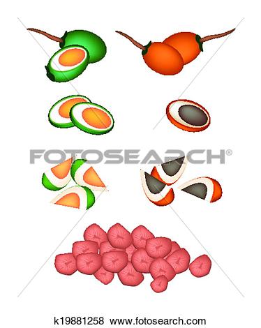 Free and clipartmansion com. Berries clipart nuts