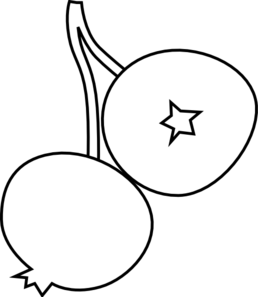 blueberry clipart black and white