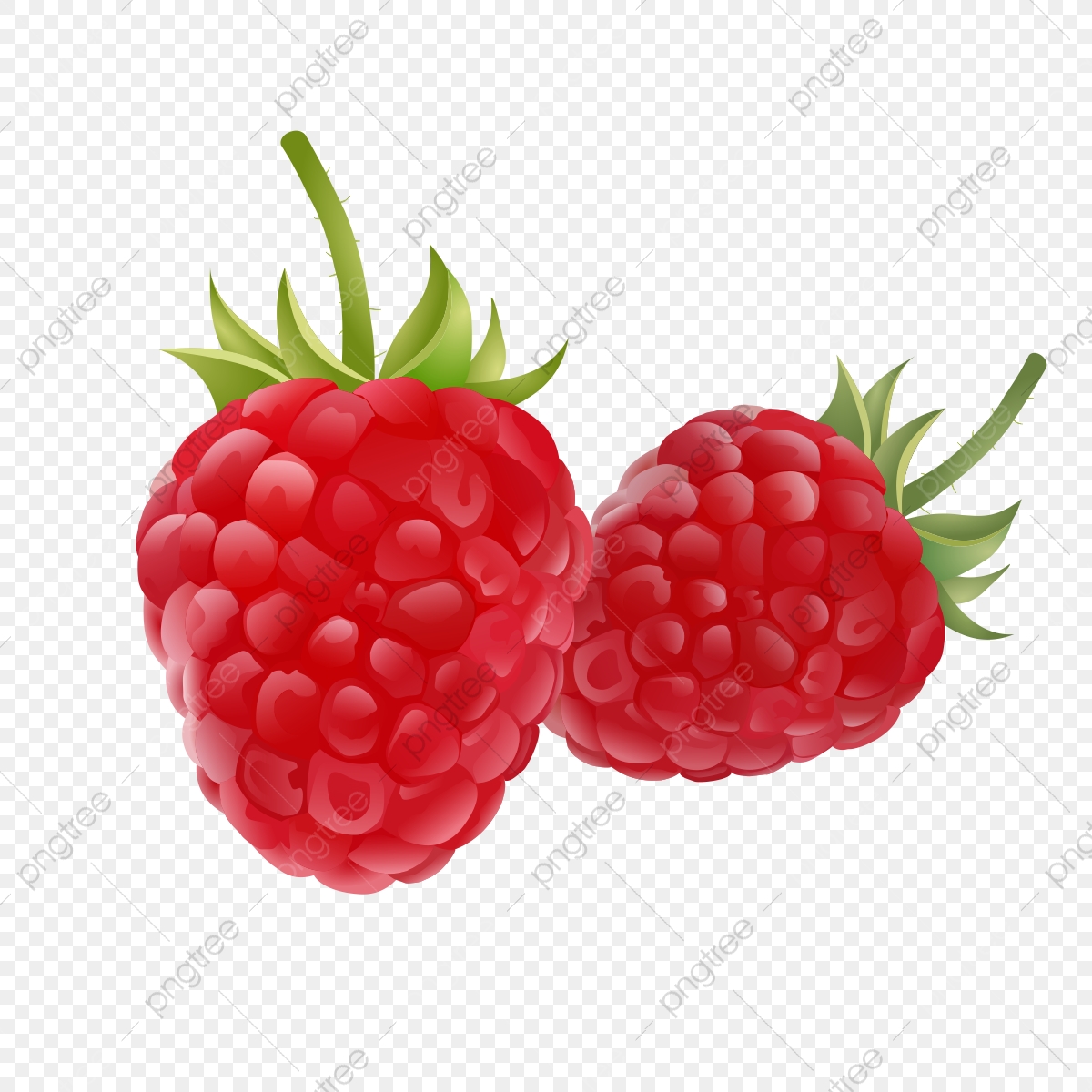 Fruit drawing logo set. Berry clipart raspberry