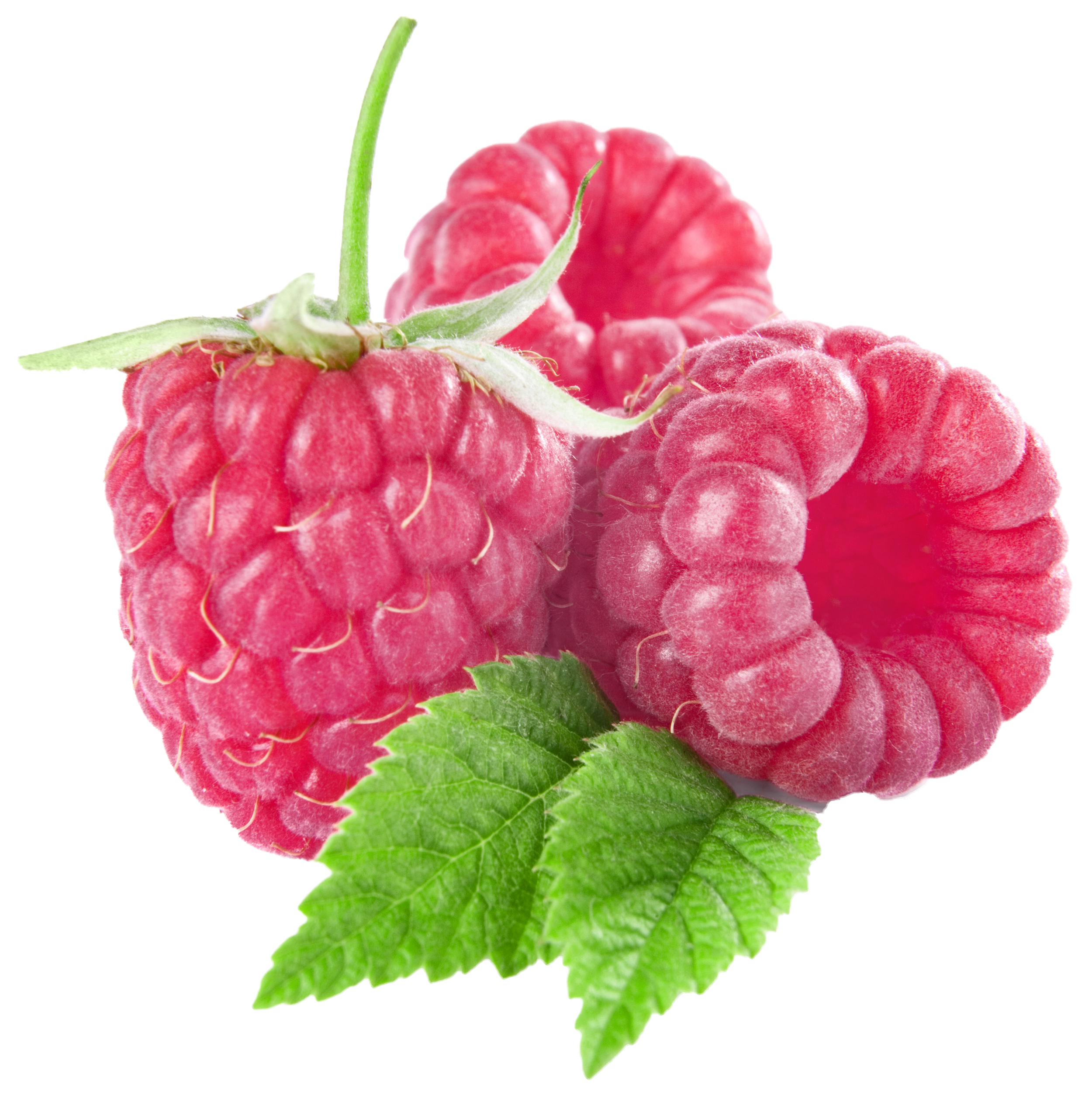 berries clipart raspberry