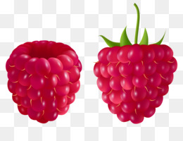 berry clipart raspberry
