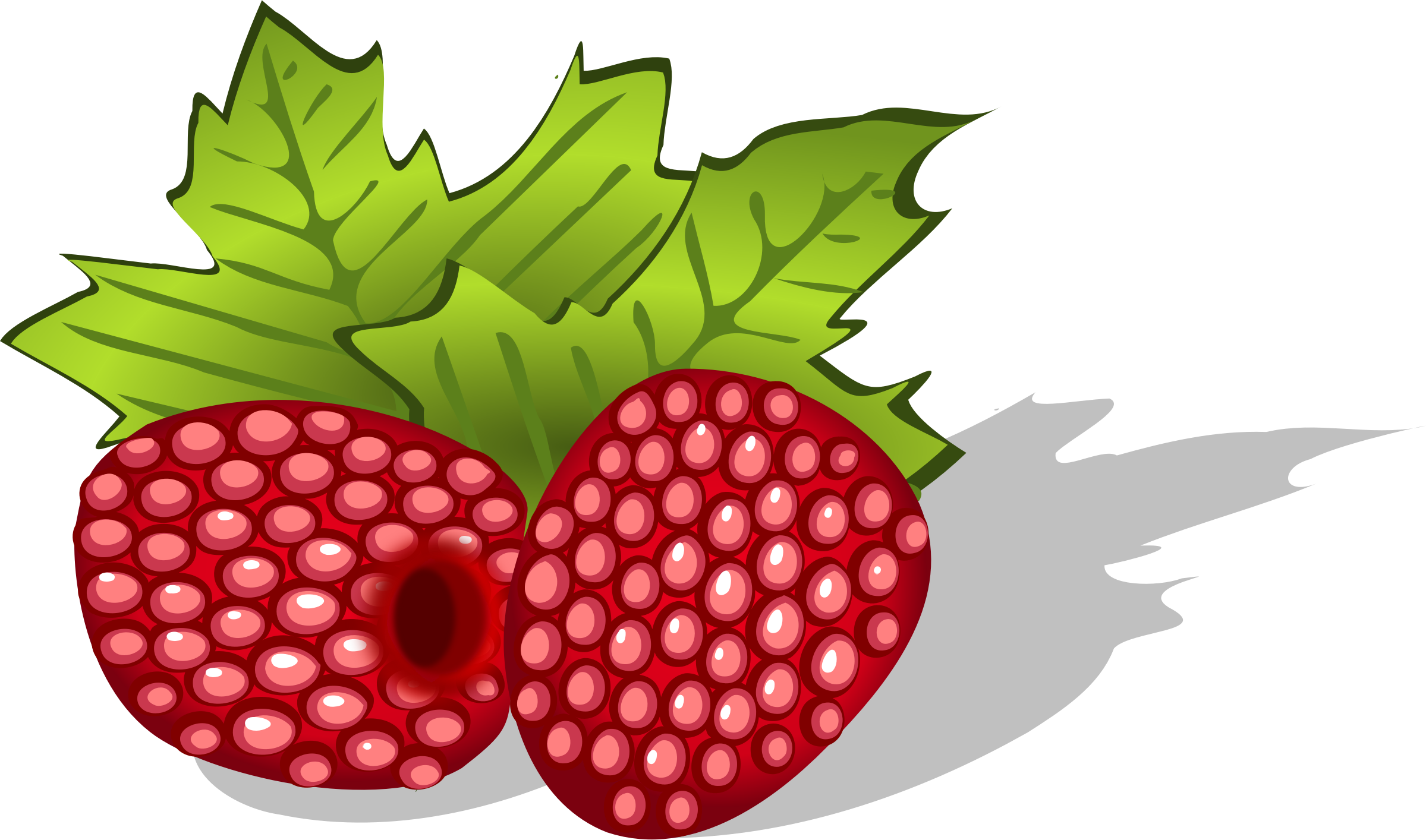 bush clipart raspberry