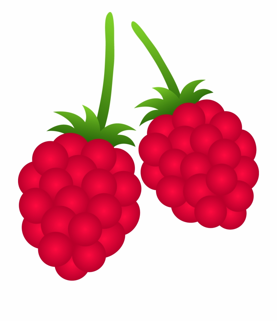 Berries clipart raspberry, Berries raspberry Transparent FREE for ...