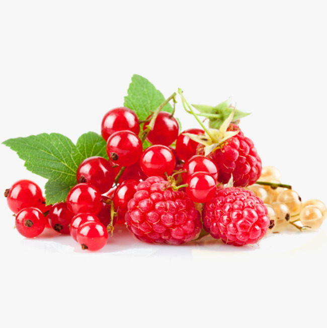 berries clipart red berry