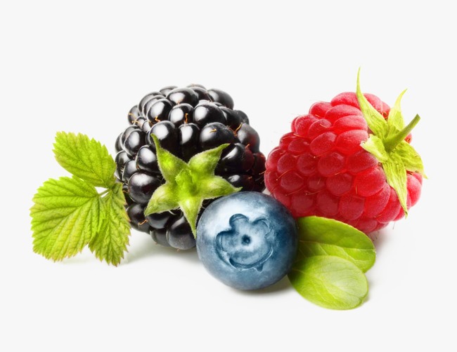 berries clipart strawberry blueberry