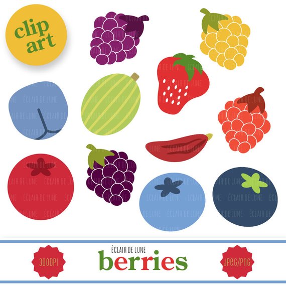 Berry clip art fruit. Berries clipart summer