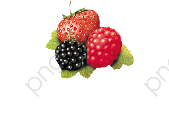 Berries clipart wild berry. Download for free png