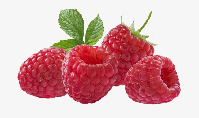 Berries clipart wild berry. Strawberry red strawberries png