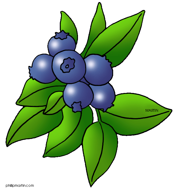 Winter clipart berry. Panda free images blueberryclipart