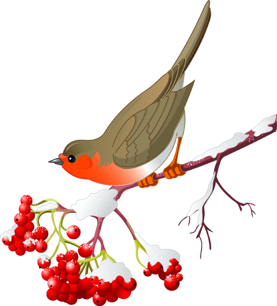 clipart winter berry
