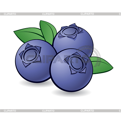 Blueberry clipart two. Stock photos and vektor