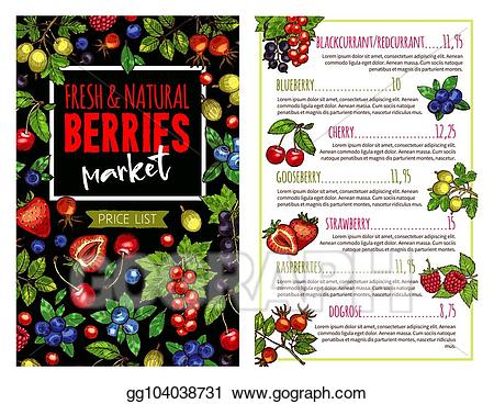 Vector stock and fruit. Berry clipart banner