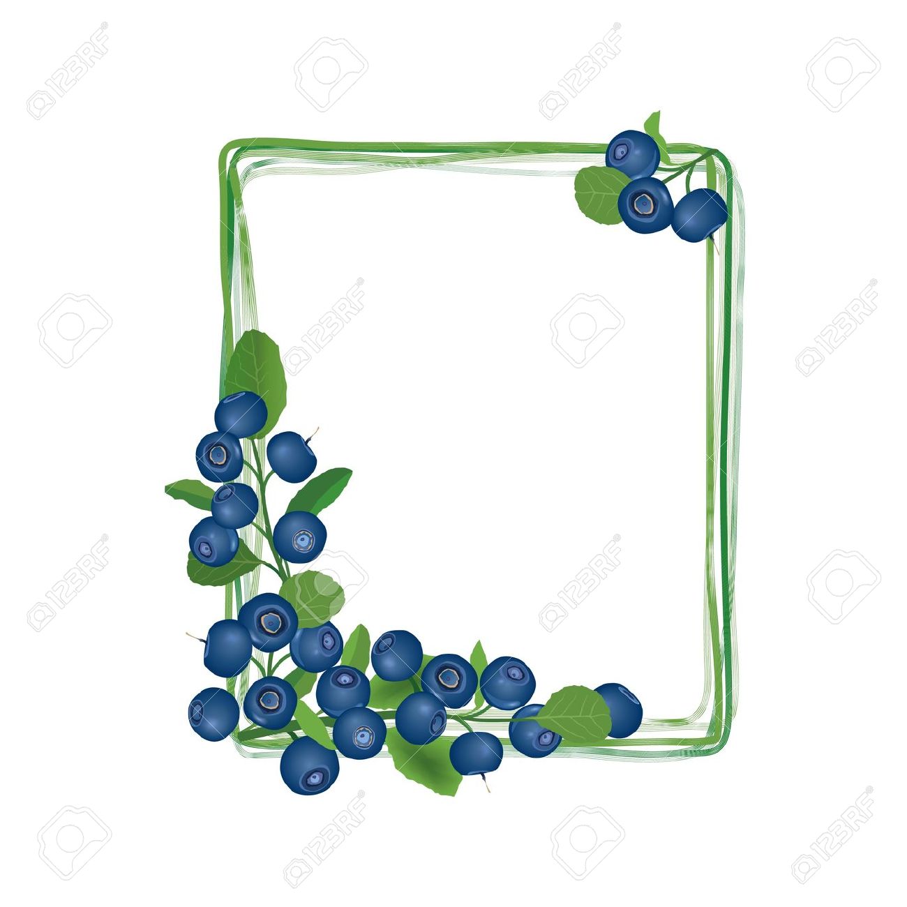Berry clipart banner.  collection of blueberry
