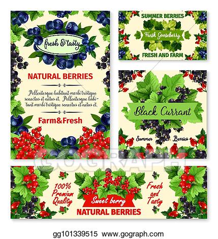 Vector summer fruit and. Berry clipart banner