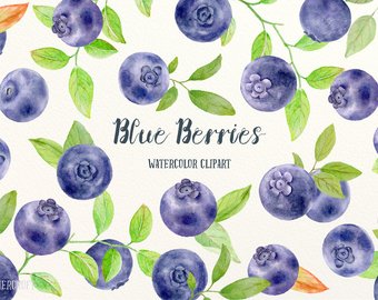 Berry clipart berrie. Blueberry etsy watercolor blue