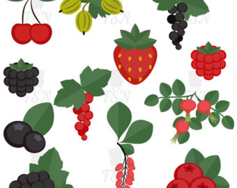 Berry clipart berrie. Blackberry art etsy juicy