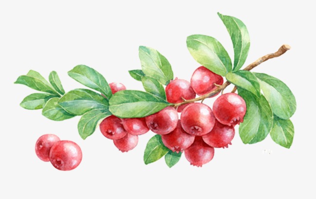 berry clipart berry tree