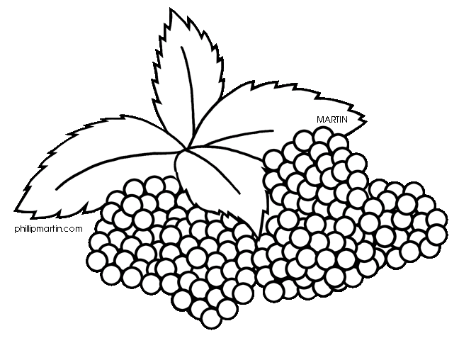 berry clipart black and white
