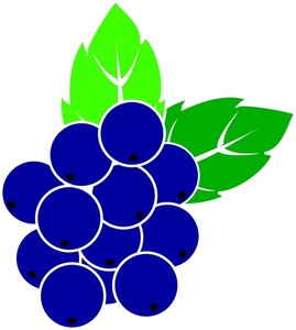 Blueberries clipart blue berry. Blueberry clip art panda