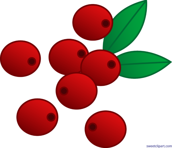 berry clipart cranberry