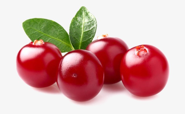 berry clipart cranberry