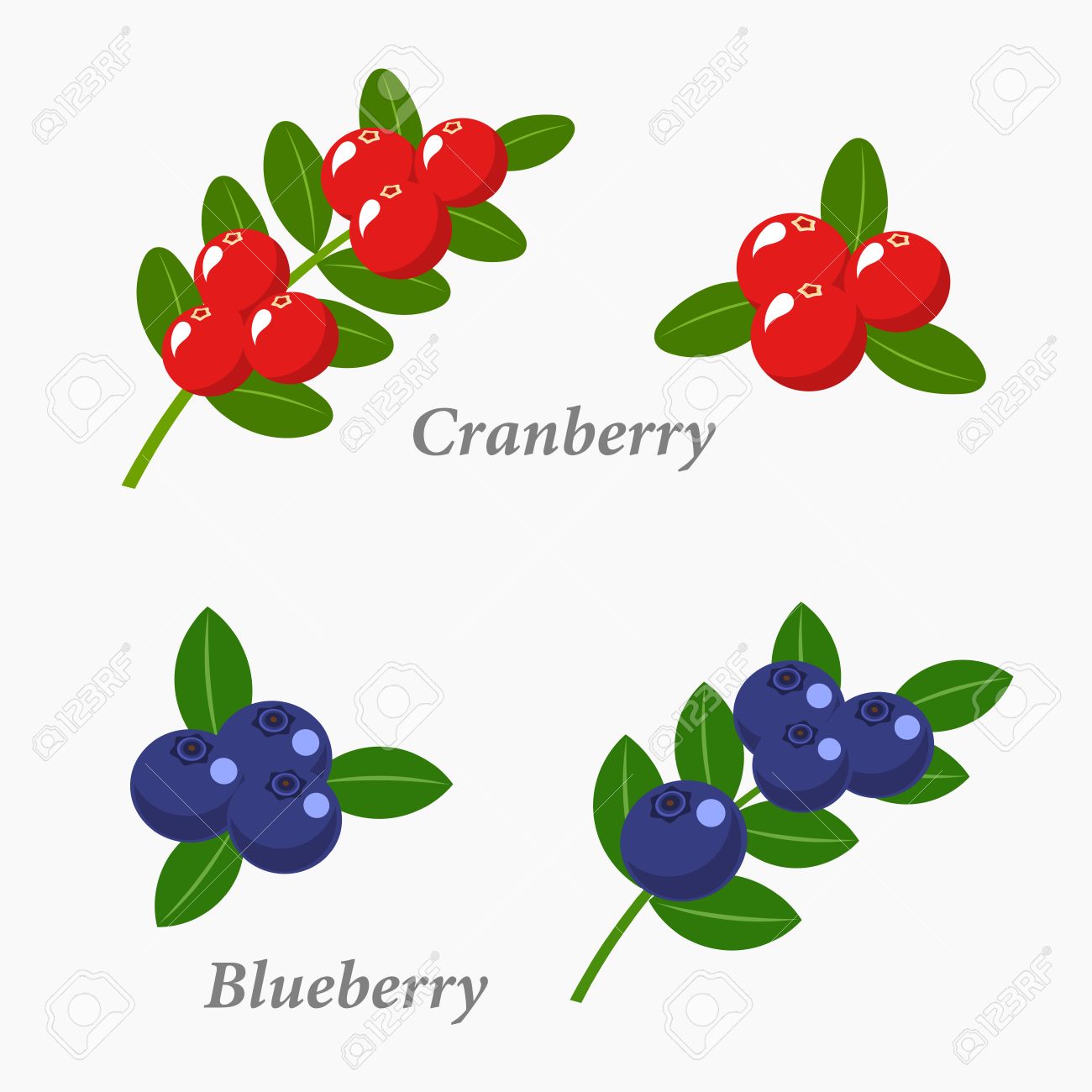 Free download best on. Blueberry clipart cranberry