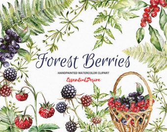 berry clipart forest berry