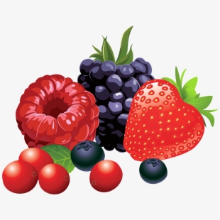 berry clipart forest berry
