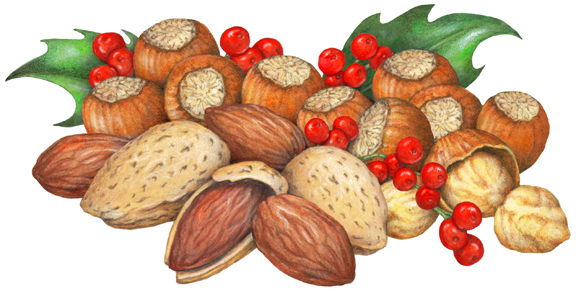 berry clipart nuts