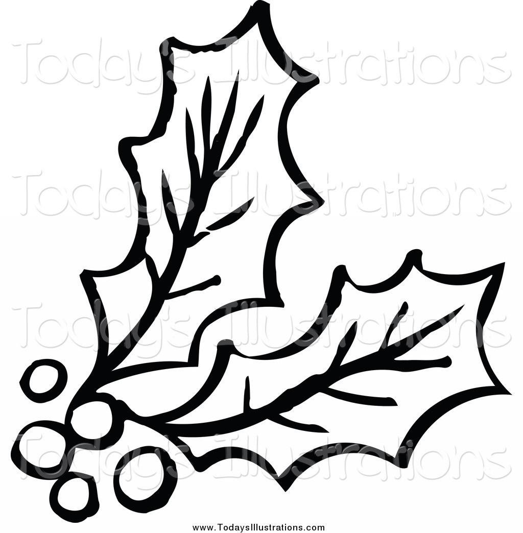 Berry clipart outline. Clip art holly thatswhatsup