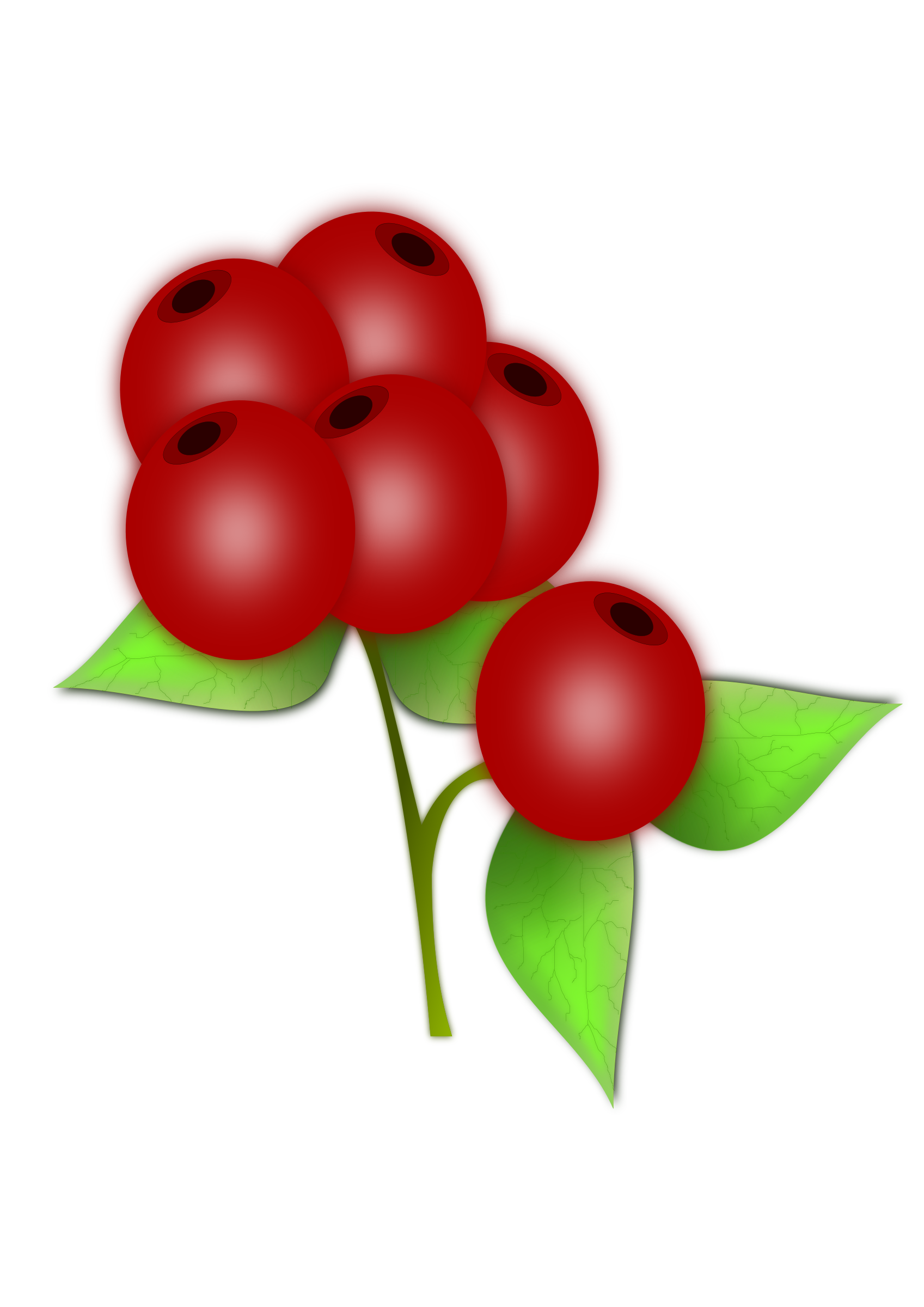 berry clipart red berry