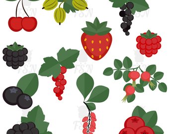 berry clipart strawberry blueberry