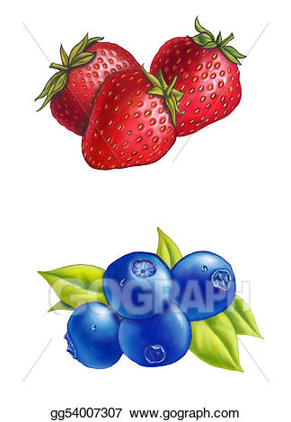 strawberries clipart strawberry blueberry