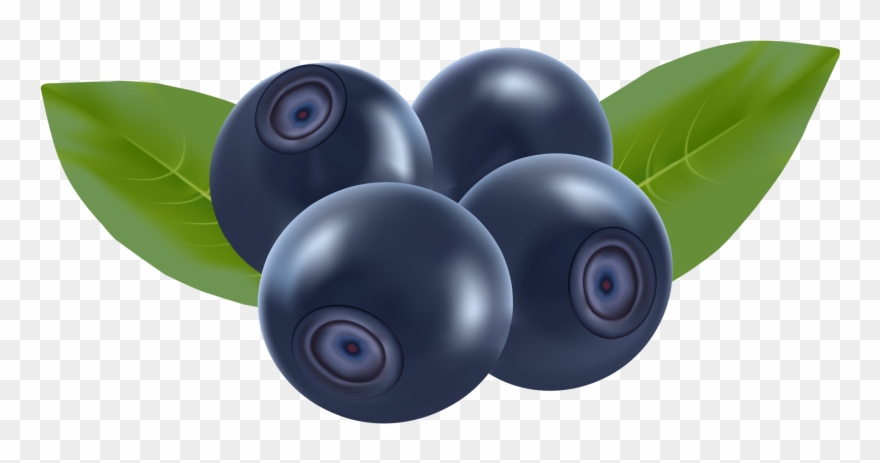 Blueberry clipart transparent background. Clip art png download