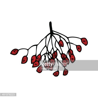 berry clipart winter