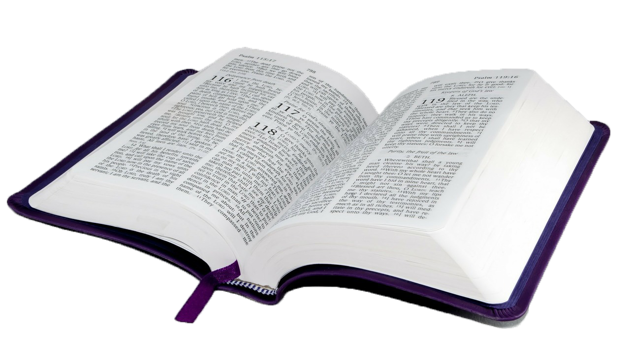 Study religion religious holy. Bible clipart text book