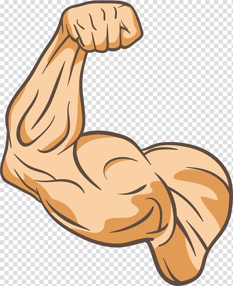 muscles clipart right arm