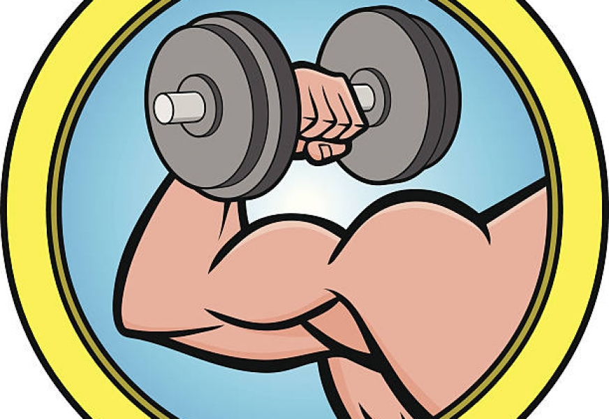 bicep clipart building muscle